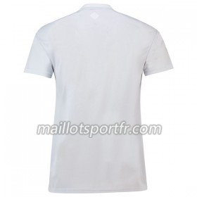 Maillot de Foot Japon Exterieur Coupe du monde 2018